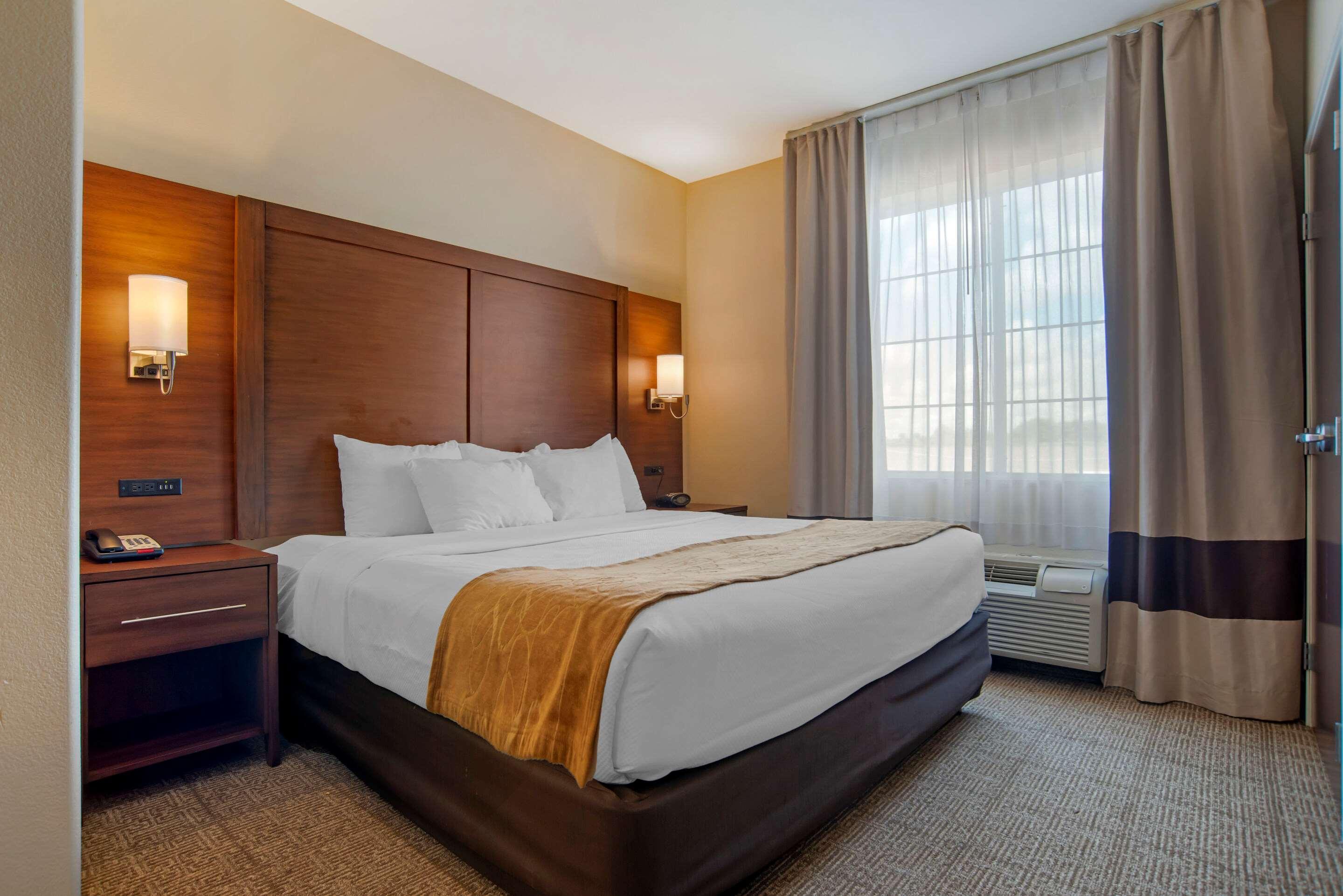 Comfort 4* Alexandria