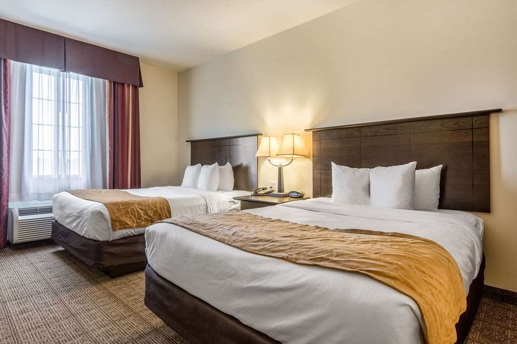 Comfort Alexandria