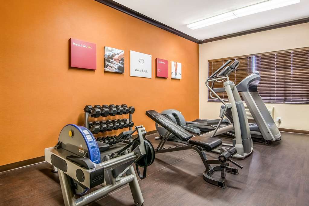 Comfort Hotel Alexandria